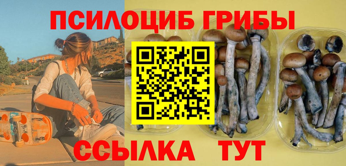 Нижнеудинск  Псилоцибиновые грибы ЛСД  Вход с VPN  Псилоцибиновые грибы MAGIC MUSHROOMS 