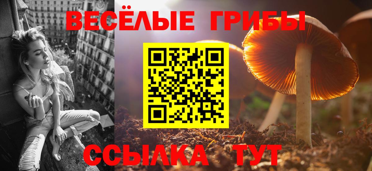 Галлюциногенные грибы GOLDEN TEACHER Нижнеудинск